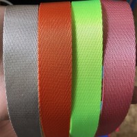 High Quality Twill Nylon Webbing